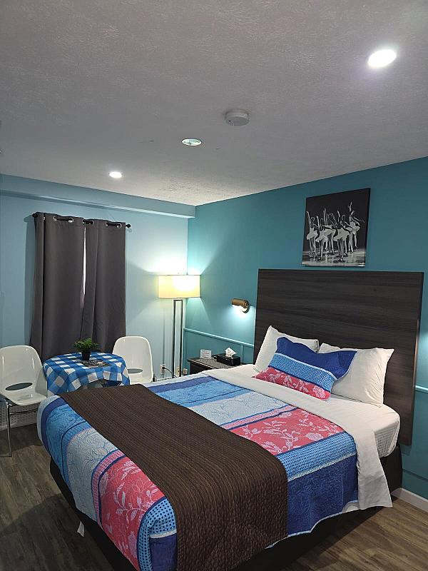 Single Queen Suite Room